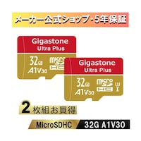 Gigastone A1V30クラス Nintendo Switch確認済マイクロSDカード 2枚セット 32GB GJMXR32GV3A1100R2PK