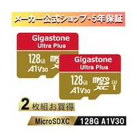 Gigastone A1V30クラス Nintendo Switch確認済マイクロSDカード 2枚セット 128GB GJMXR128GV3A1100R2PK