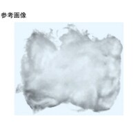日本理化学器械 ガラスウール 10ー12μm 1箱(500g入) GRW10500