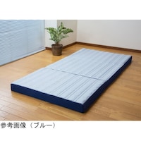 ファミリー・ライフ アキレス Float Wave ハードタイプ シングル ブルー a3032620