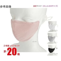 ジェイワークスプランニング 温感マスク 大人女性向け 20.5×12.5 ホワイト 1ケース(2枚×10袋入) JWP568