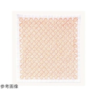 オリムパス製絲 オリンパス 刺し子ハンカチ iine(イーネ) オレンジ 約横20cm×縦20cm HK9