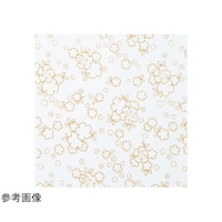 オリムパス製絲 布に塗るぬりえ 花ぬりえ 姫あかり 約23×23cm HN2