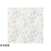 オリムパス製絲 布に塗るぬりえ 花ぬりえ 春だより 約23×23cm HN4