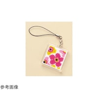 �I�����p�X���N�@�k���̂��킢���N���X�X�e�b�`�@�X�g���b�v�@�i�A�N�����P�[�X�^�C�v�j�@�t�����[�@�r�s�Q�W