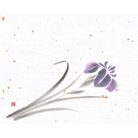 ヤマコー 4x5寸花風情 菖蒲(4月ー5月) (100枚入) 65968