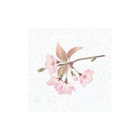 ヤマコー 両面ラミ四季彩シート 桜(3月ー4月) (200枚入) 66366