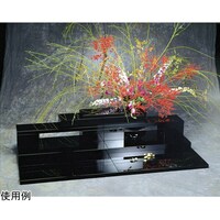 ���}�R�[�@�x�[�X�v���[�g�Z�b�g�@�R�U�T�P�O