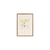 ラドンナ 木製フレーム DF53A4BR DF53A4BR