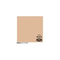 アズワン 【サベージ背景紙】バックグラウンドペーパー(No25ベージュ)2.72×25M NO25272*25