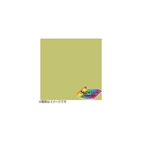アズワン BPS1800No.13 トロピカルグリーン BPS1800#13