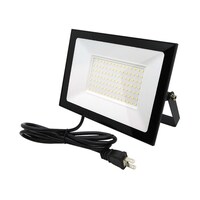 ブロードウォッチ LED投光器(AC100W) LEDAC100