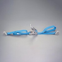 東レインターナショナル EA982SF25A 50mmx 5.0m/764kg ベルト荷締機(両端フック/SUS