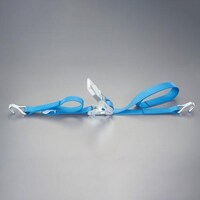 東レインターナショナル EA982ST24A 50mmx 4.0m/1010kg ベルト荷締機(両端フック型)