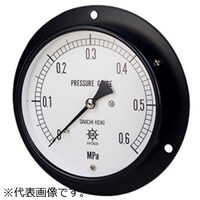 第一計器製作所 IPT一般圧力計 DU3/8100X1MPA