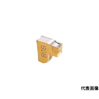 イスカルジャパン タンググリップ チップ TAG R/LJ/JS