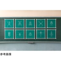 アズワン 虫の体のつくり学習黒板 108546