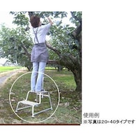 ミツル 2段式もち手踏み台