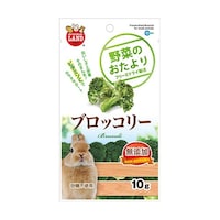 フジコン 野菜のおたより ブロッコリー 10g ML81 ※2個以上から注文可能(販売価格は1個単位の価格)