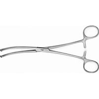 �r�[�E�u���E���@�����E���q�@�r���w���@���@�Q�O�����@�e�n�W�O�P�q