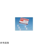 �������w�@�V�����X�^�[�t���X�g������