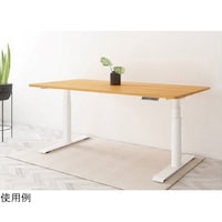 Flexispot 電動昇降デスク