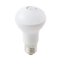 東京メタル工業 60W相当 LED人感明暗センサー付ランプ (電球色) E26 LDR8LS60WTM