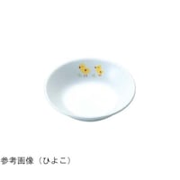 �������H�@�L�b�Y���C�g�@�[�؎M