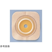 �f�����w�[�V�u�i�`����