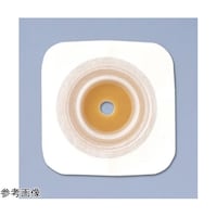 �o���P�A�i�`�����@�\�t�g�l�t�����W�@�P�O����