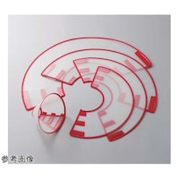 �g�b�v�@�x�e�i���l�b�N�J���[