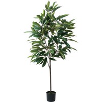 シモジマ ショウナンゴム 180cm GR