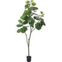 シモジマ ウンベラータ 180cm GR