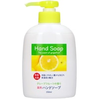 第一石鹸 第一石鹸薬用ハンドソープ本体250ML×6