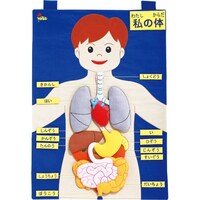 コンセル 布製 からだのしくみ2