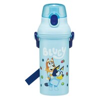 スケーター 直飲プラワンタッチボトル 480ml ブルーイ ※2個以上から注文可能(販売価格は1個単位の価格)
