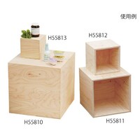 ハヤノ産業 5面体ディスプレイBOX