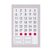 レイメイ藤井 【10枚セット】 ボードマグネット 日付 LPT302X10