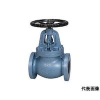 東洋バルヴ FC要部BRZグローブ弁 J10FGF_50A