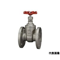 東洋バルヴ SCS13ゲート弁【フランジ・JV81適合品】 USFN_20A