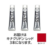 ターナー色彩 【3本×5セット】 U35 キナクリドンレッド20mL TURNER108651X5