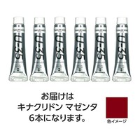 ターナー色彩 【6本×5セット】 U35キナクリドンマゼンタ11mL TURNER108853X5