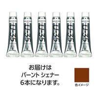 ターナー色彩 【6本×5セット】 U35 バーントシェナー11mL TURNER108860X5