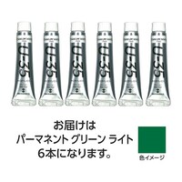 ターナー色彩 【6本×5セット】 U35パーマネントグリーンライト11mL TURNER108858X5