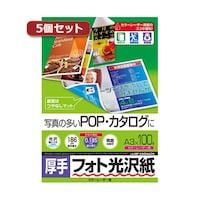 サンワサプライ 【5個セット】 カラーレーザー用フォト光沢紙 厚手 A3 100枚 LBPKAGNA3NX5