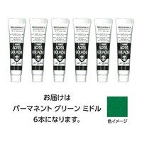 ターナー色彩 【6本×5セット】 アクリルガッシュ 11mL 43パーマネントGRミドル TURNER108816X5