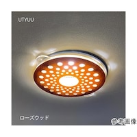 タム ツケレルンダウンライトキャップ(UTYUU DECO)