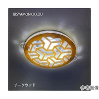 タム ツケレルンダウンライトキャップ(BISYAMONKIKKOU DECO)
