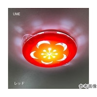 タム ツケレルンダウンライトキャップ(UME DECO)