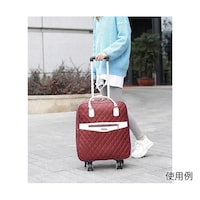 ファミリー・ライフ 横押しカートリュック